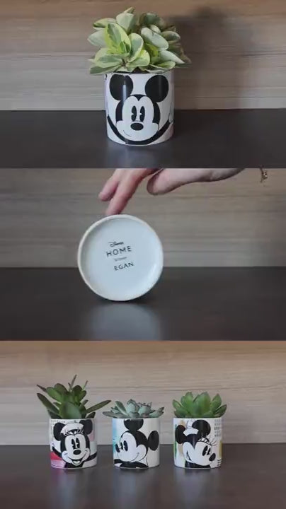 Oil/vinegar Bottle Mickey Mouse Enjoy Grey ML 430